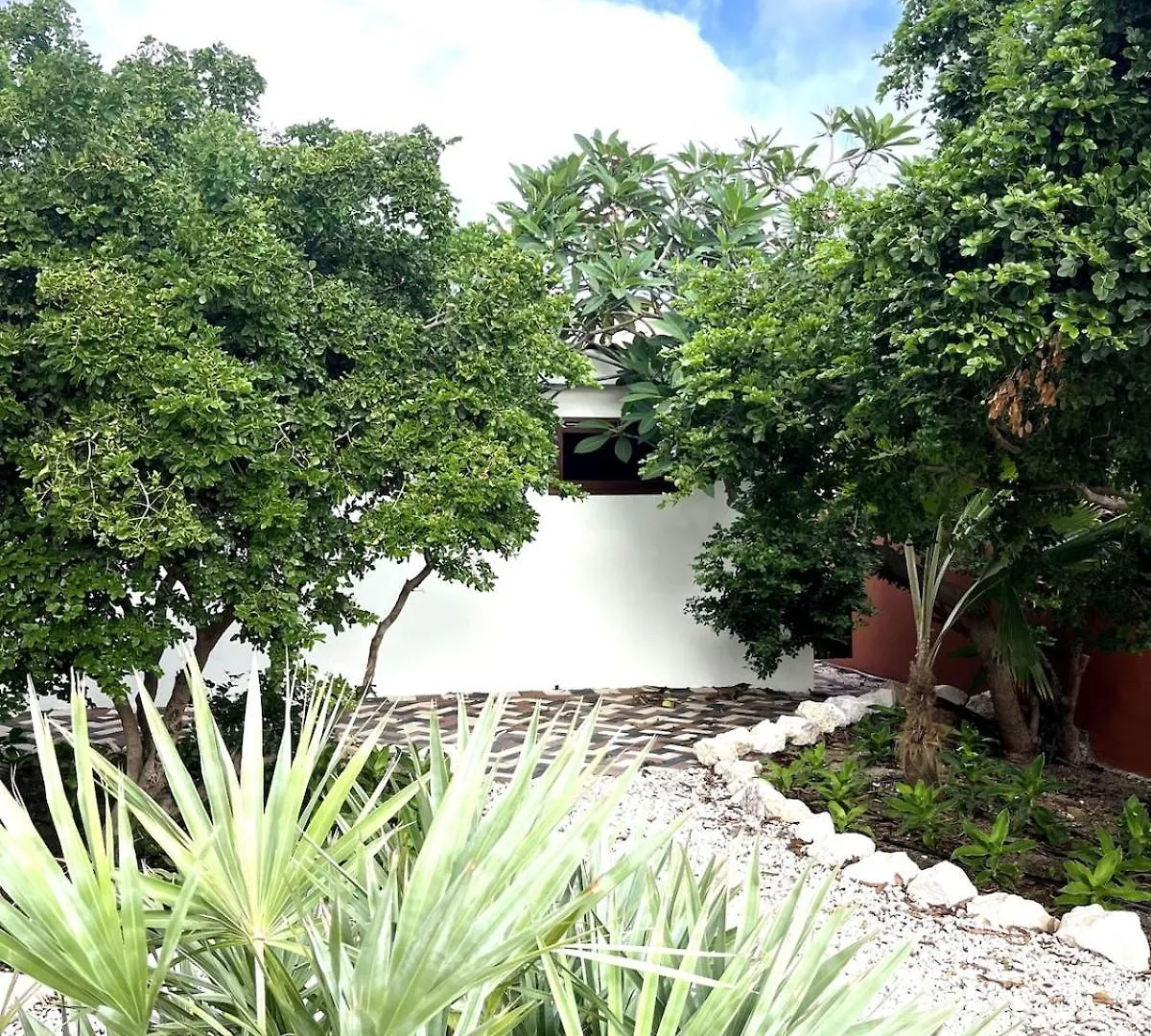 Terra77 Tropical Vacation Home, Private Garden, Pool, Parking And Bbq 빌렘스타트 0*,  퀴라소