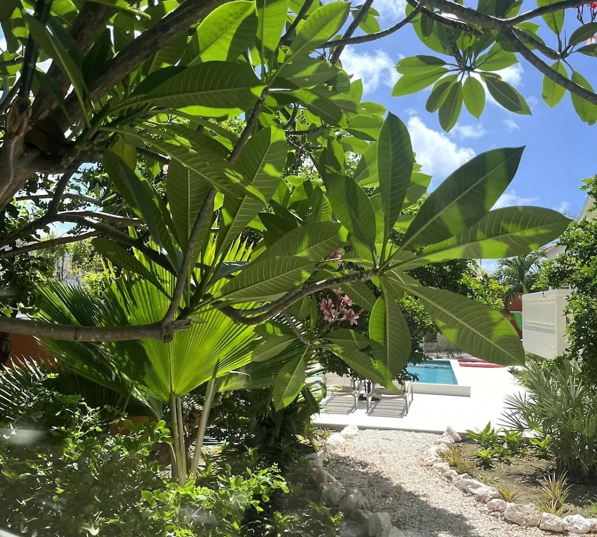 아파트 Terra77 Tropical Vacation Home, Private Garden, Pool, Parking And Bbq 빌렘스타트