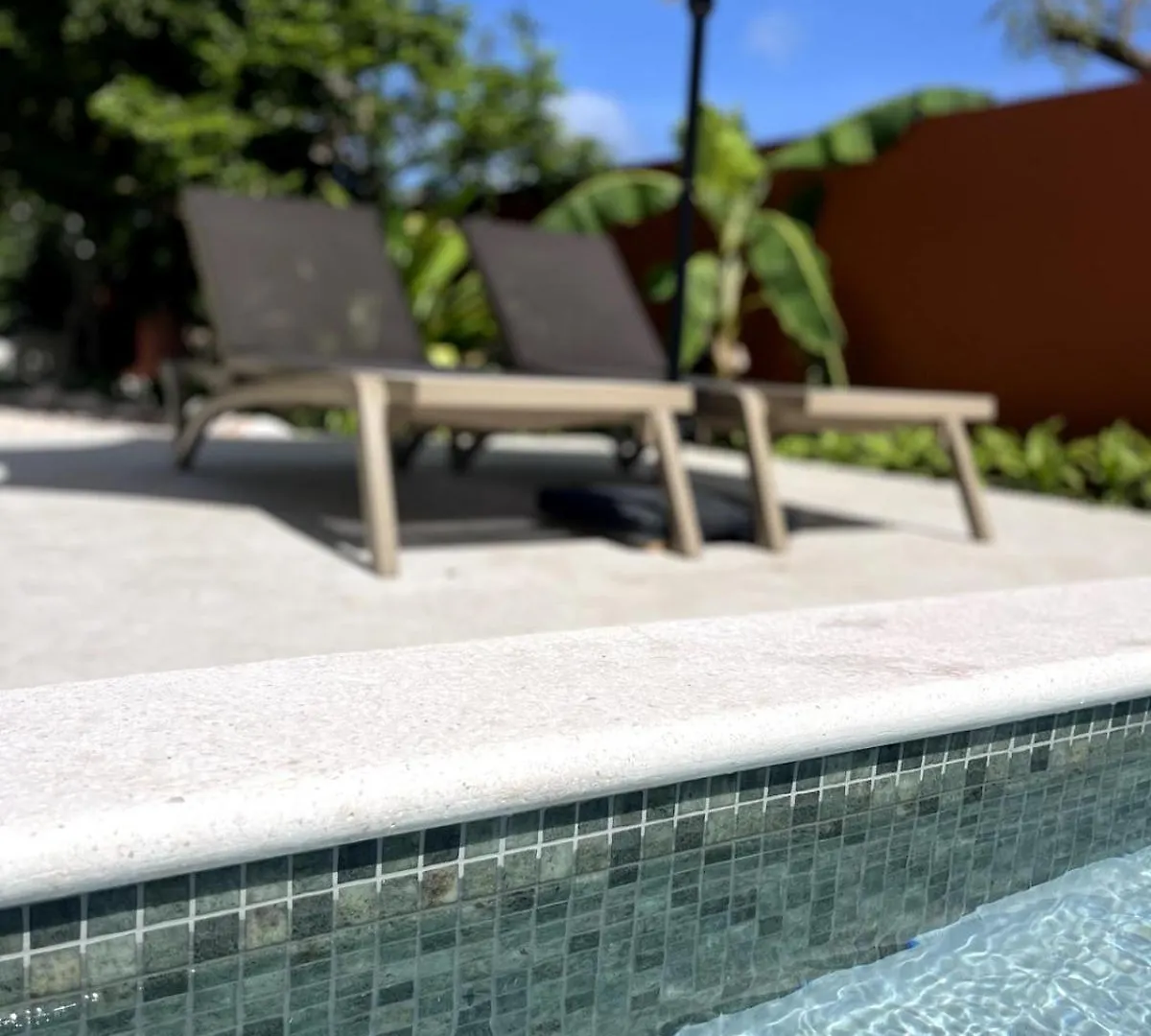Terra77 Tropical Vacation Home, Private Garden, Pool, Parking And Bbq Willemstad Lejlighed