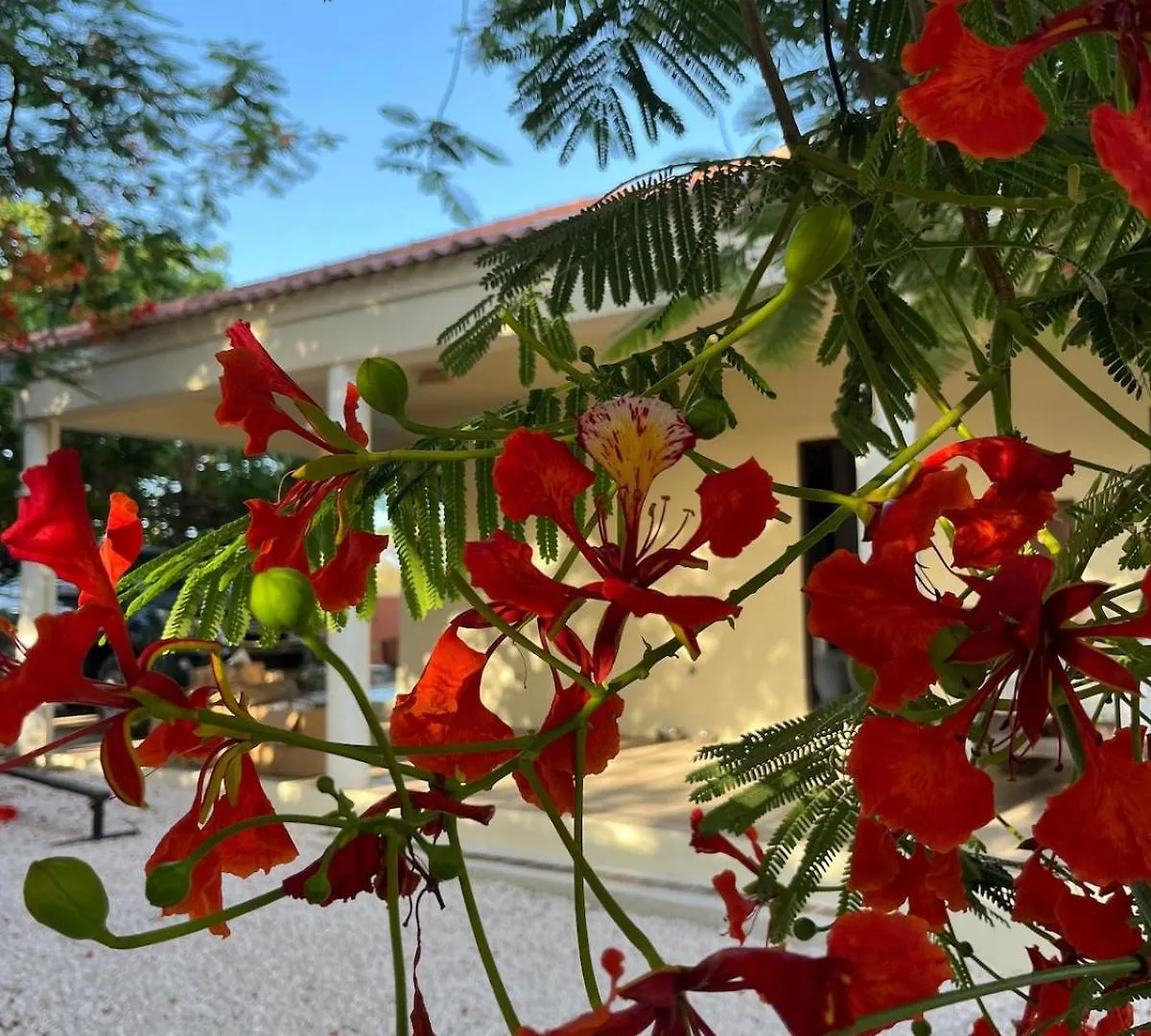 Terra77 Tropical Vacation Home, Private Garden, Pool, Parking And Bbq Willemstad Curaçao
