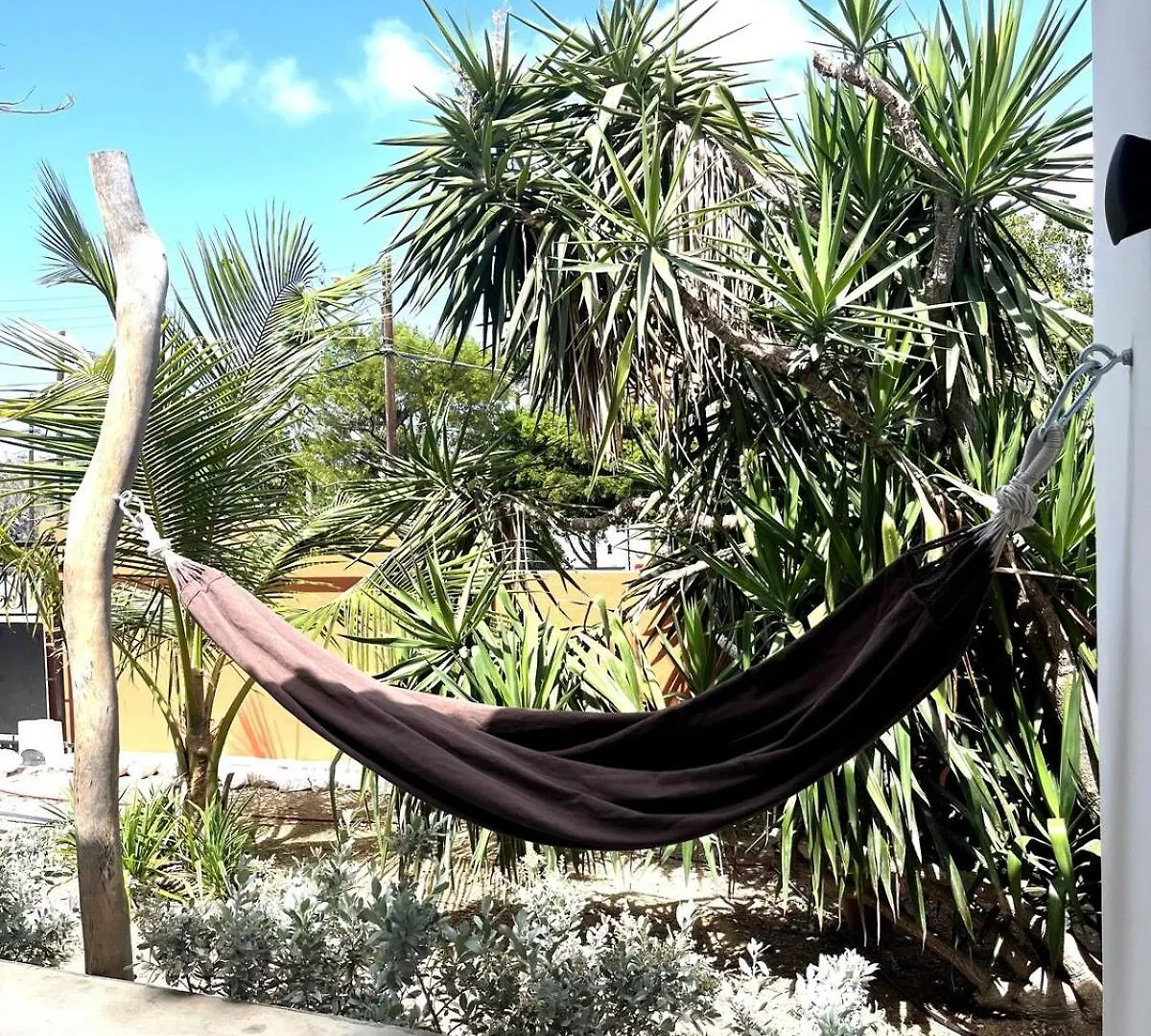 Terra77 Tropical Vacation Home, Private Garden, Pool, Parking And Bbq Willemstad